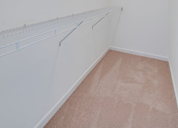 Large Walk In Closet with Multiple Shelves