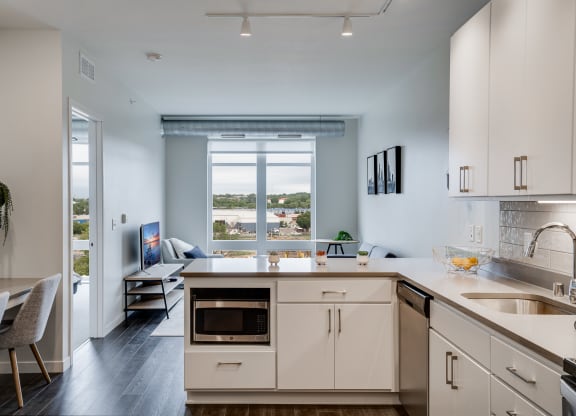 Stainless Steel Microwave and Dishwasher