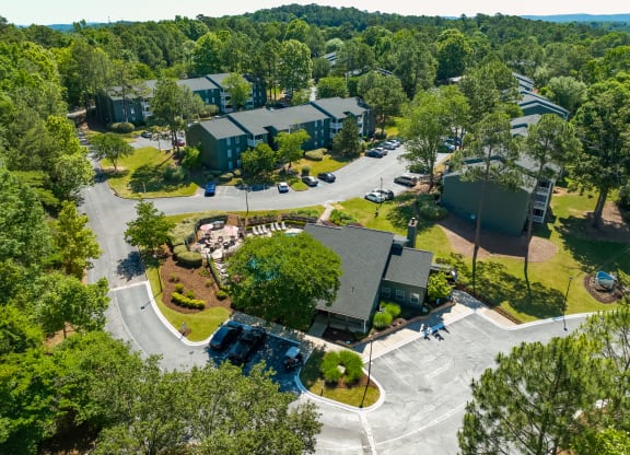 Lush Trees Throughout The Community At The Halston