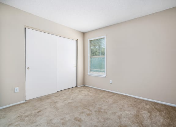 Carpeted Bedroom With Large Sliding Closet Doors