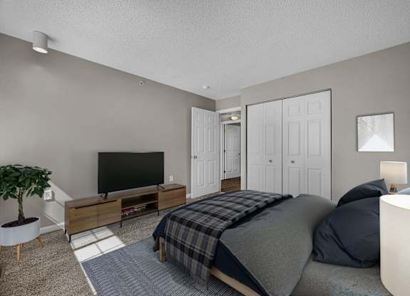 Bedroom with Plush Carpeting