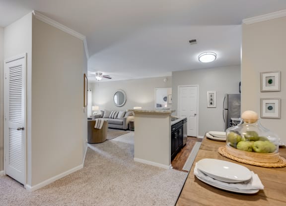 Open Concept Living  Room, Kitchen & Dining Area