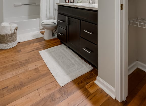 Bathroom With Wood-Style Flooring