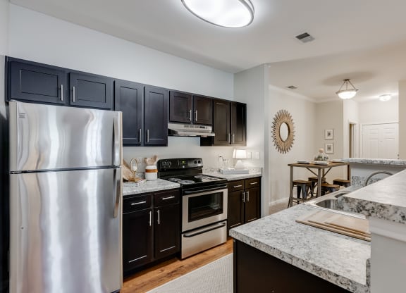 Kitchen Featuring Dark Cabinetry, Brushed Nickel Hardware & Stainless Steel Appliances