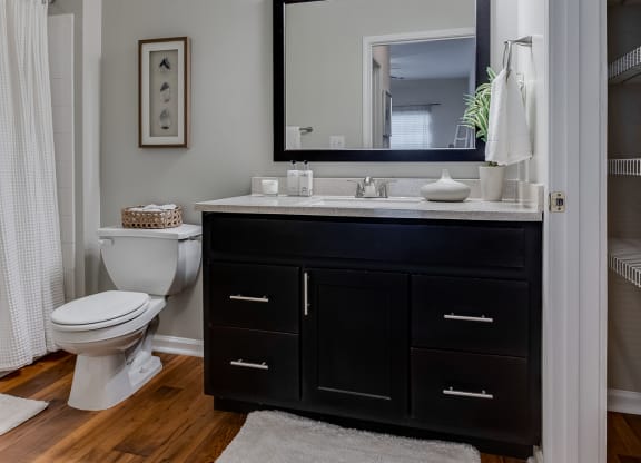Bathroom With Spacious Vanity