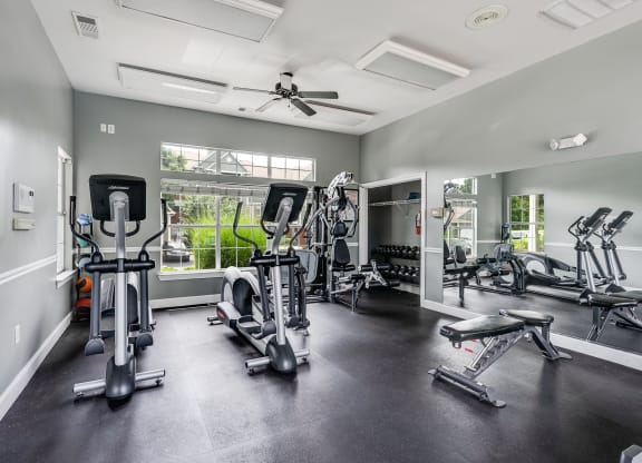 Cardio Equipment At The Fitness Center