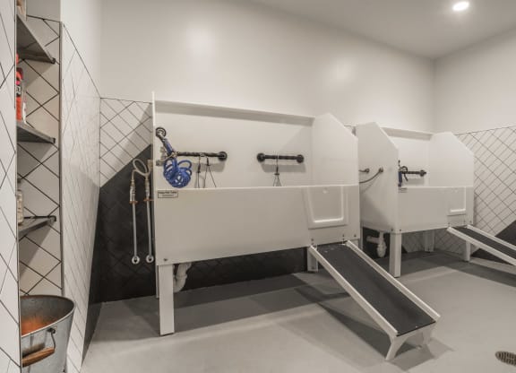 On-Premise Pet Wash Stations
