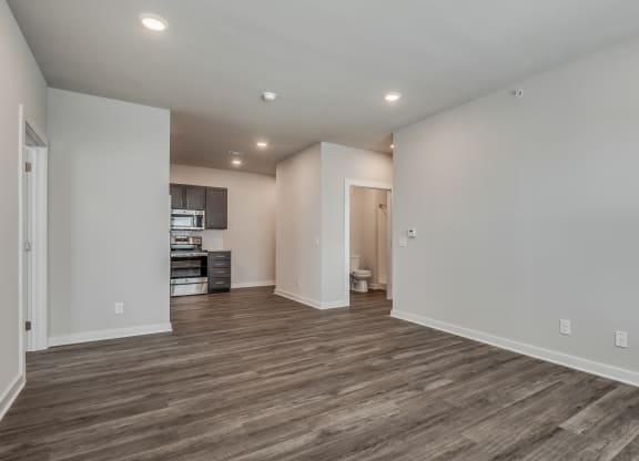 Spacious Living Area With Wood-Style Flooring