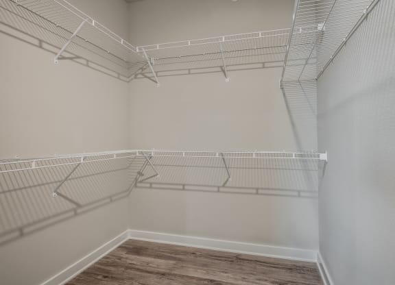 Walk-In Closet With Built-In Shelving