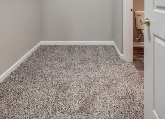 Spacious Walk-In Closet