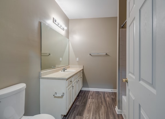 Bathroom With Wood-Style Flooring