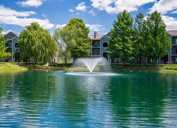 Spacious Pond With Tranquil Fountain