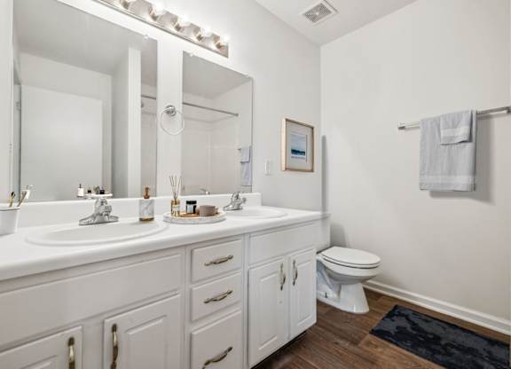 Bathroom with Dual Vanity