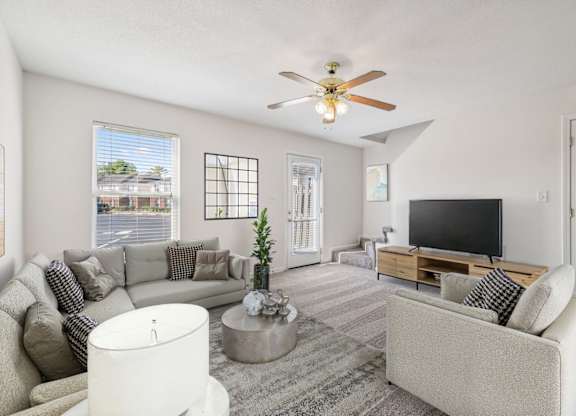 Spacious Living Area with Carpet