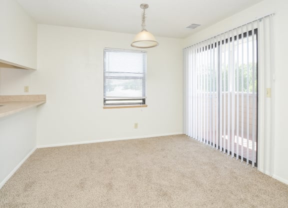 Patio or Balcony Sliding Doors in Living Room