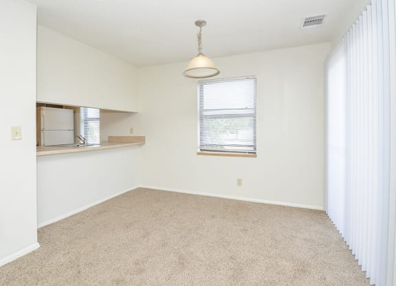 Open Layout of Living Room and Kitchen