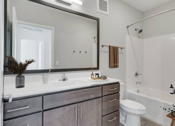 Bathroom with Modern Finishes