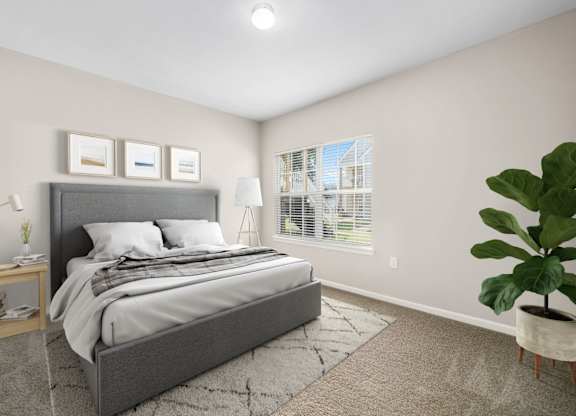 Bedroom with Plush Carpeting