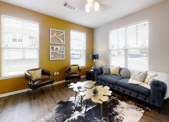 Living Room with Lots of Natural Light