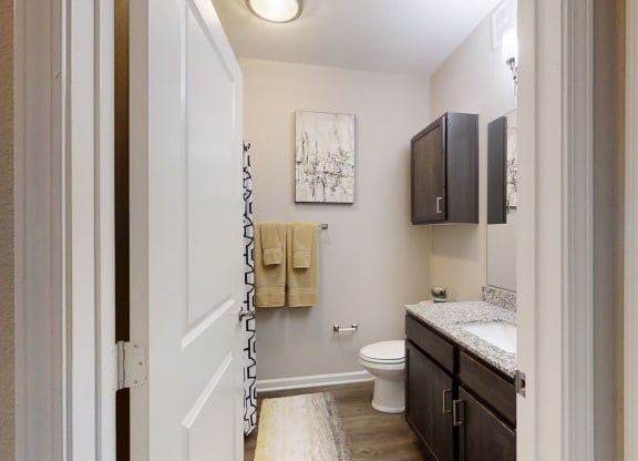 Bathroom with Vinyl Flooring and Granite