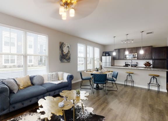 Open Concept Living Room and Kitchen