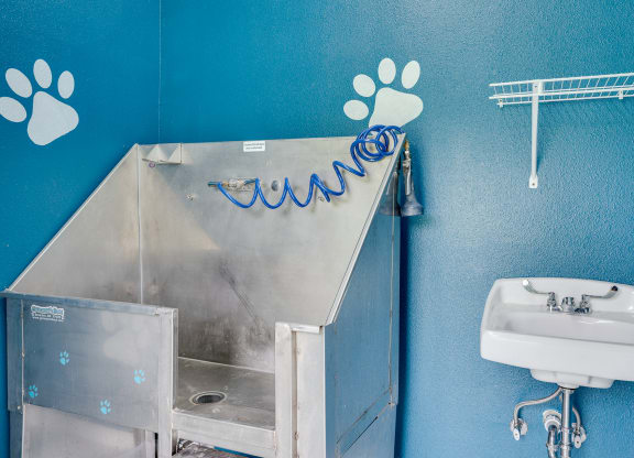 Pet Wash Station