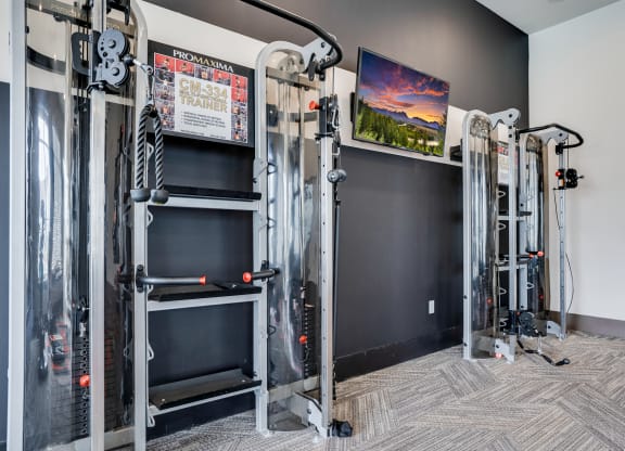 Two Large Multifunctional Trainer