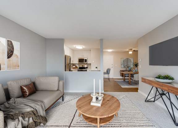 Living Room with Plush Carpeting