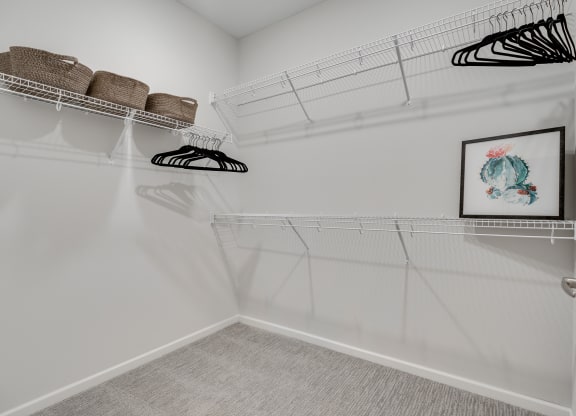 Spacious Walk-In Closet