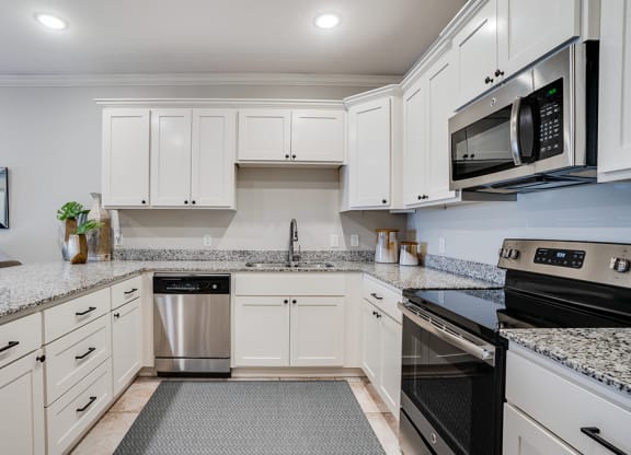 Stainless Steel Kitchen Appliances