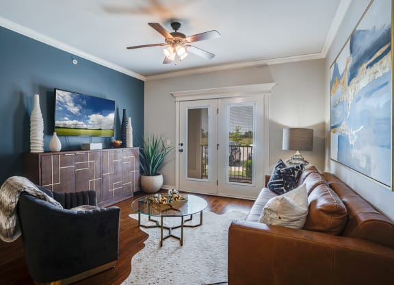 Living Room with Lots of Natural Light