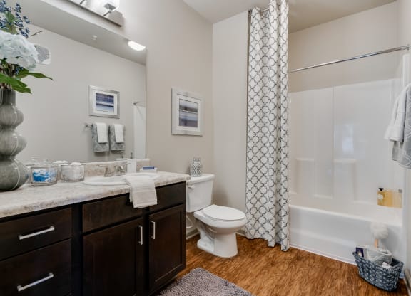 Spacious Bathroom With Wood-Style Flooring & Tiled Shower With Tub