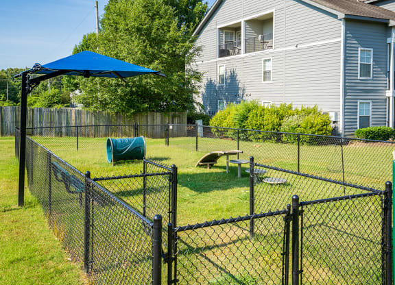 Fenced In Dog Park