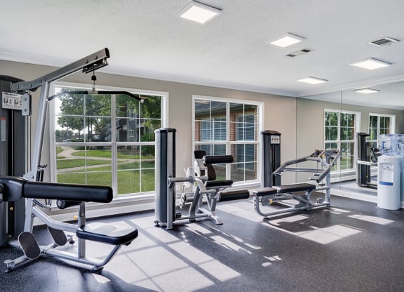 Weight Equipment in the Fitness Center