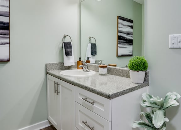 Large Bathroom Vanity and Countertop