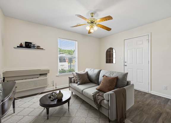 Spacious Living Area With Wood-Style Flooring