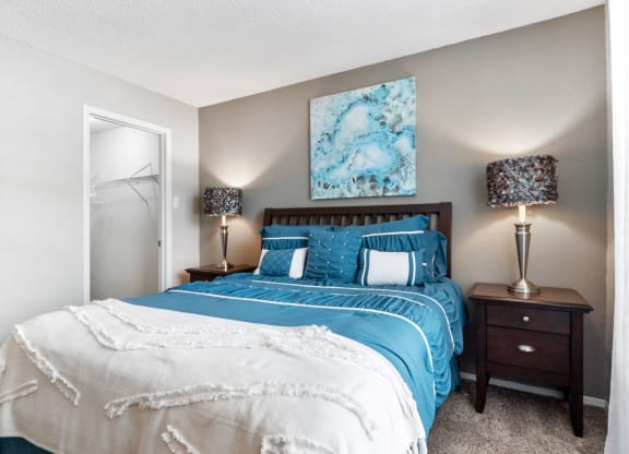 Bedroom With Walk-In Closet
