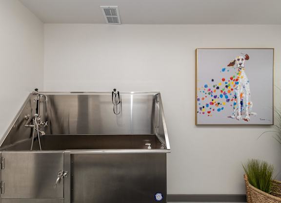 A stainless steel sink for pet-washing with a faucet and a painting of a dog with dots on it.