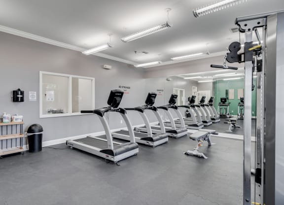 Treadmills At The Fitness Center