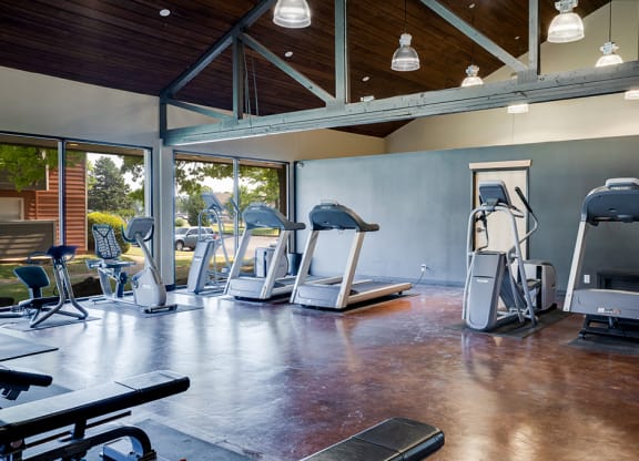 Cardio Equipment in the Fitness Center