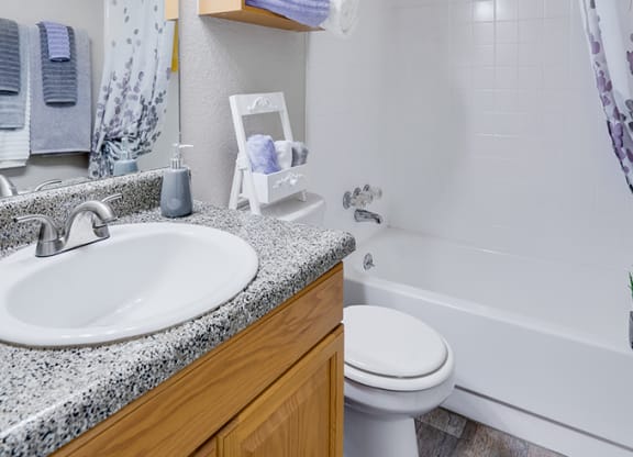 Bathroom with Storage Cabinet Above the Toilet
