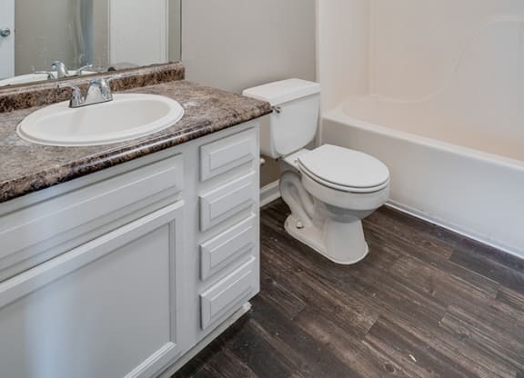 Spacious Bathroom with Grey Hardwood Style Flooring