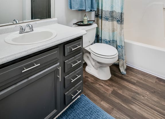 Bathroom with Large Vanity and Shower with Tub