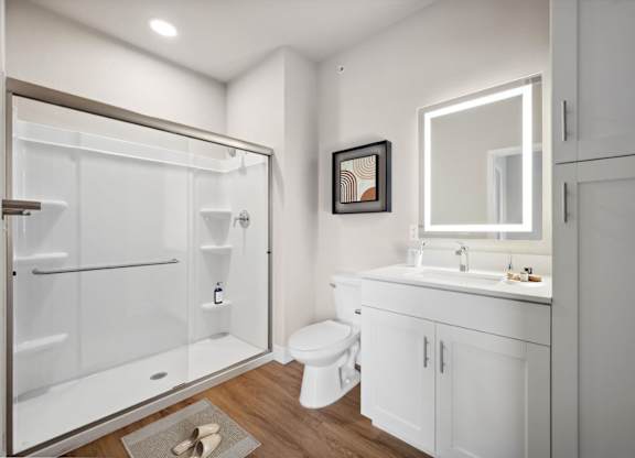 Bathroom with Modern Finishes