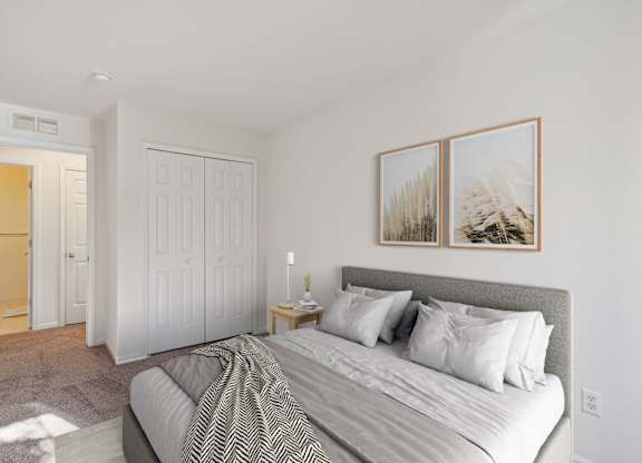 Bedroom with Plush Carpeting