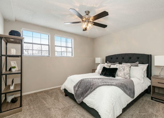 Bedroom with Plush Carpet and Double Windows