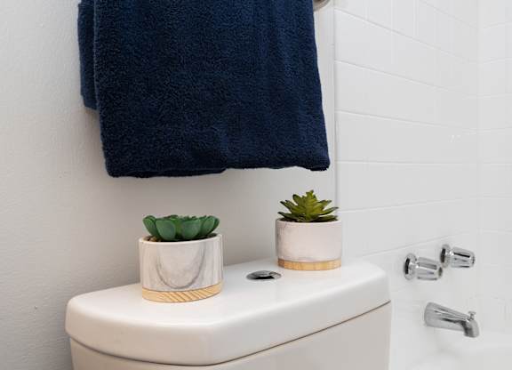 A white toilet with a blue towel and plants on top.
