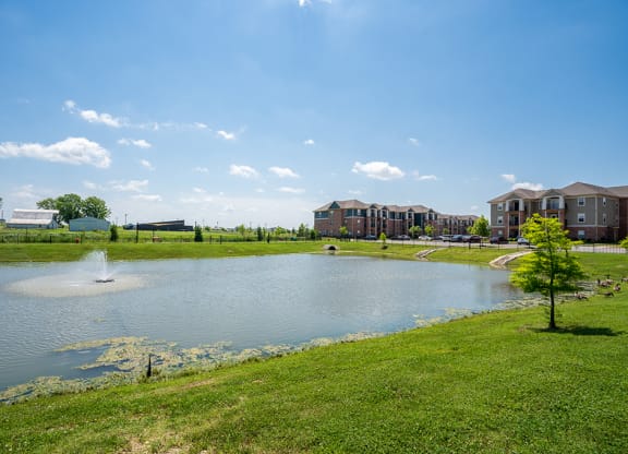 On-Premise Pond