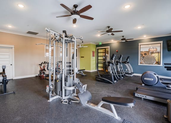 Strength Training Equipment 