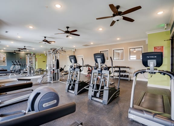 Treadmills and Elliptical Equipment